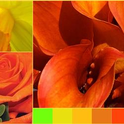 Oranges &amp; Lemons Traditional Bouquet