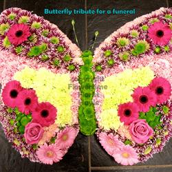 Butterfly Tribute for a Funeral