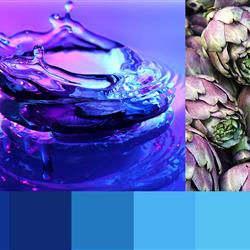 Colours of the Sea Basket