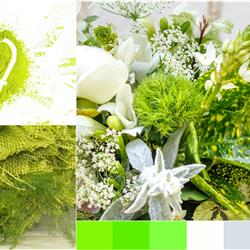 Cool Green &amp; White Basket