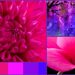 Pinks &amp; Purples Container