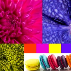 Vibrant Colours Container