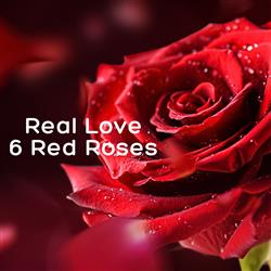  Love You 6 Red Rose Bouquet