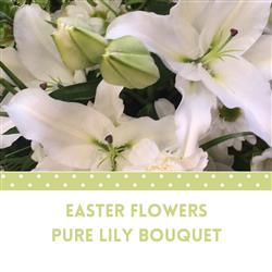 Easter Lily - Aqua Pack Bouquet