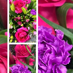 Sugar Plum Dreams