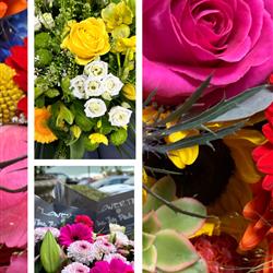 Florist Dreams