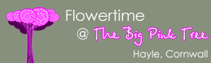 Flowertime @ The Big Pink Tree