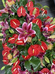 Sympathy funeral flowers Cornwall casket spray Penzance